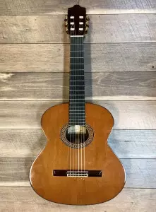 قیمت و خرید گیتار ریموندو 125